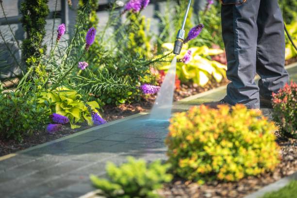 Professional Pressure Washing Services in New Windsor, MD